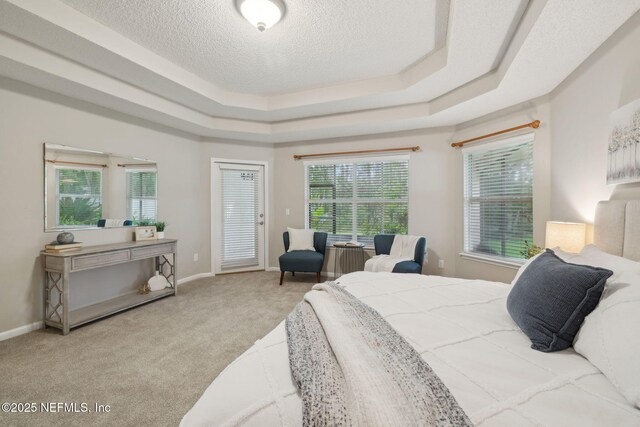745 Austin Pl, Saint Johns, FL 32259 - bedroom featuring carpet flooring, a textured ceiling, a raised ceiling, baseboards, and access to exterior