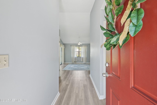 8314 Derbyshire Pl, Jacksonville, FL 32244 - entrance foyer with baseboards, lofted ceiling, wood finished floors, and a ceiling fan