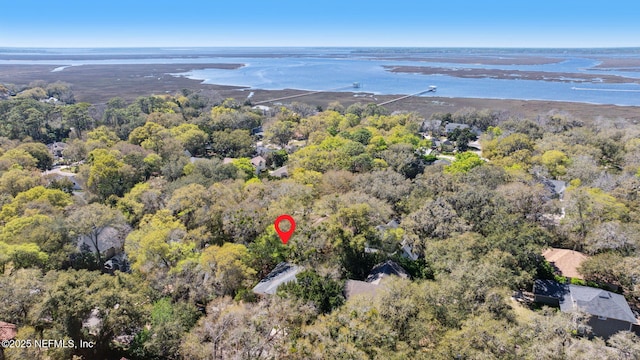 95062 Mackinas Cir, Fernandina Beach, FL 32034 - birds eye view of property featuring a view of trees