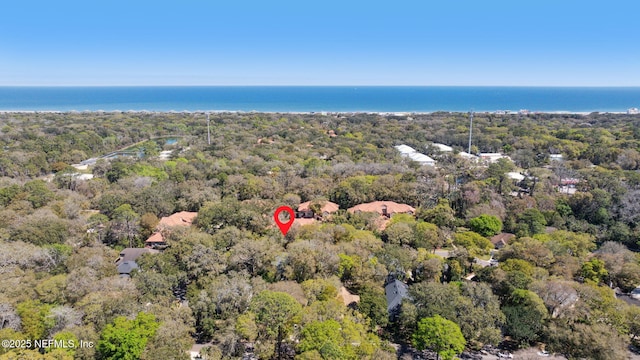 95062 Mackinas Cir, Fernandina Beach, FL 32034 - bird's eye view with a water view