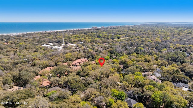 95062 Mackinas Cir, Fernandina Beach, FL 32034 - drone / aerial view featuring a water view