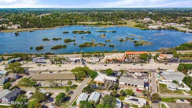 29 Grant St, Saint Augustine, FL 32084 - drone / aerial view of a large body of water