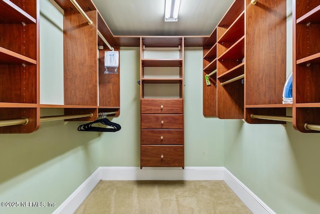 29 Grant St, Saint Augustine, FL 32084 - spacious closet with carpet flooring
