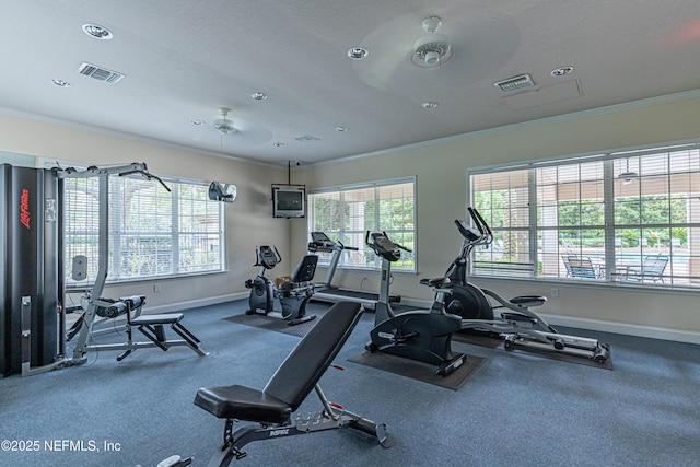 6624 Jefferson Garden Ct Unit 14D, Jacksonville, FL 32258 - photo 47