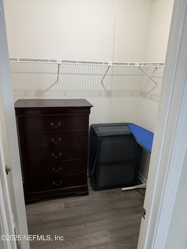 13248 Grant Logan Ln, Jacksonville, FL 32225 - spacious closet featuring wood finished floors