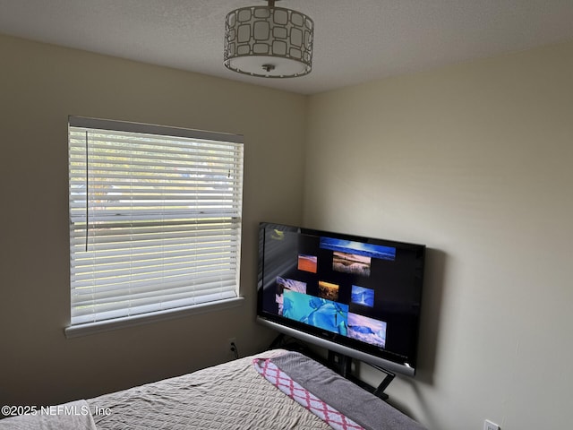 13248 Grant Logan Ln, Jacksonville, FL 32225 - bedroom featuring a textured ceiling