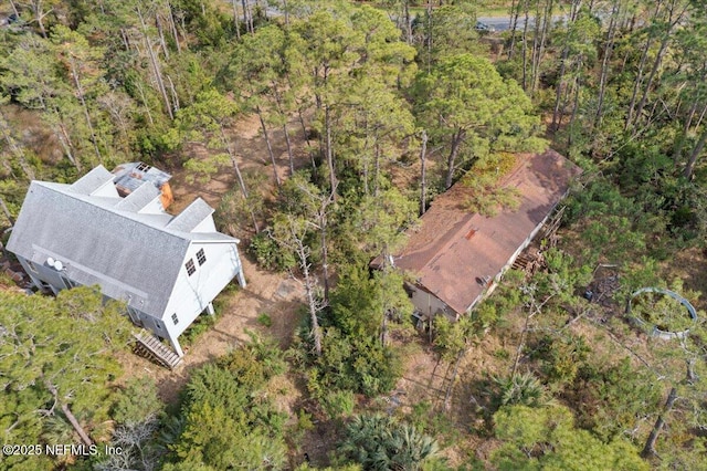 94245 Palm Cir W, Fernandina Beach, FL 32034 - bird's eye view