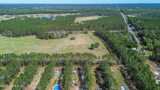 9587 Ford Rd, Bryceville, FL 32009 - aerial view with a water view and a forest view