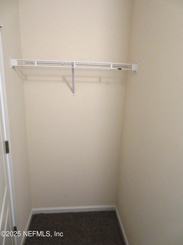 3282 Little Fawn Ln, Green Cove Springs, FL 32043 - walk in closet featuring carpet floors