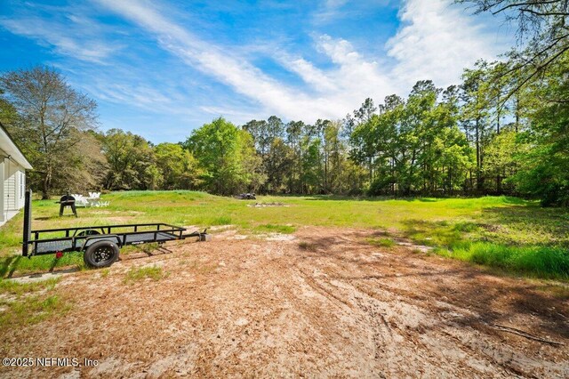 4703 Mayflower St, Middleburg, FL 32068 - photo 5