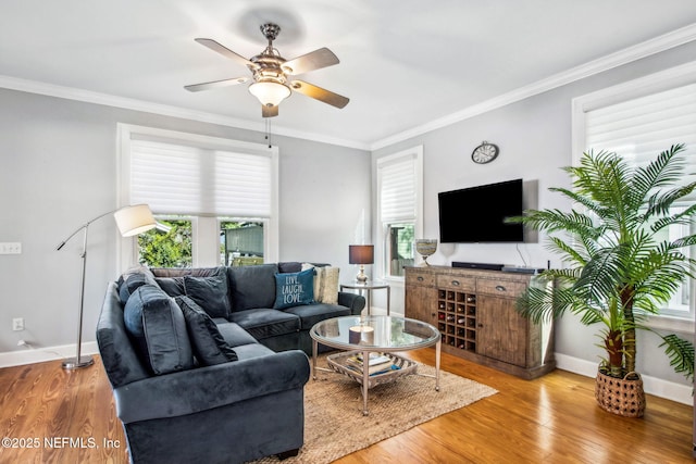 3809 Eloise St, Jacksonville, FL 32205 - photo 11