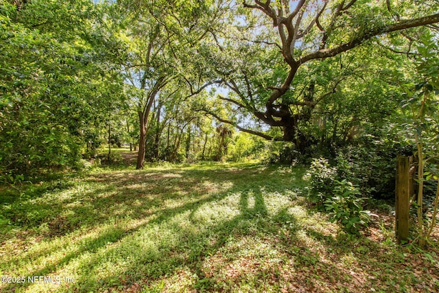 3809 Eloise St, Jacksonville, FL 32205 - photo 40