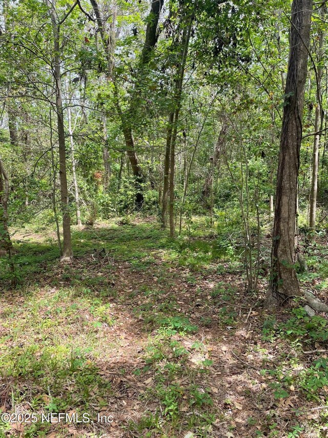 106 Bowfin Dr, Palatka, FL 32177 - photo 5