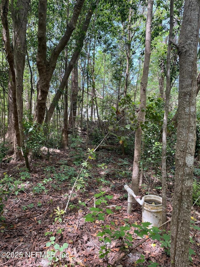 106 Bowfin Dr, Palatka, FL 32177 - photo 20