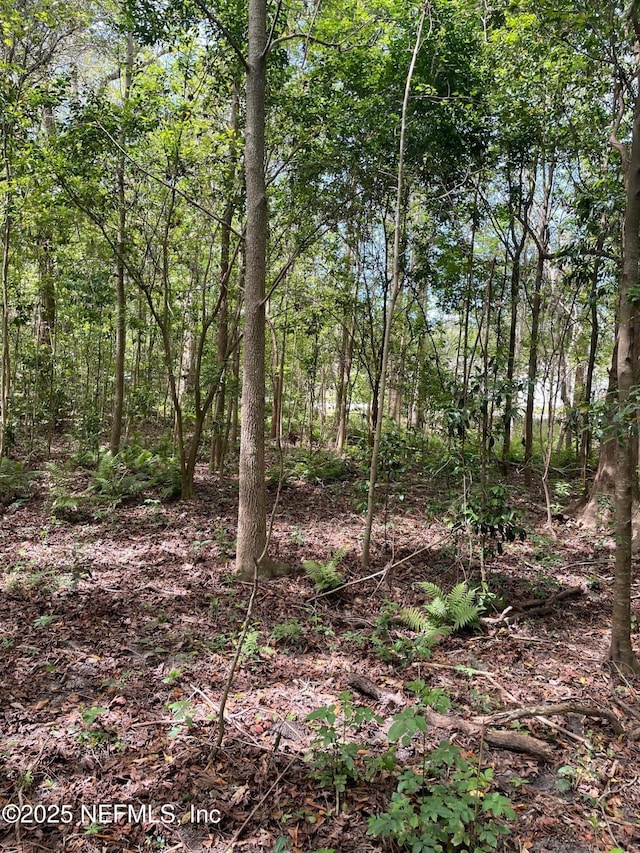 106 Bowfin Dr, Palatka, FL 32177 - photo 24