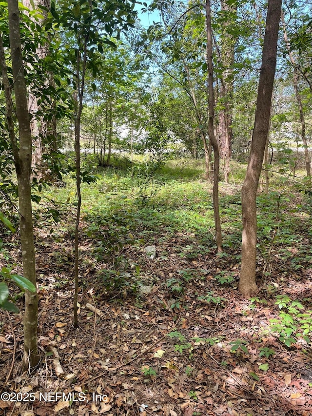 106 Bowfin Dr, Palatka, FL 32177 - photo 26