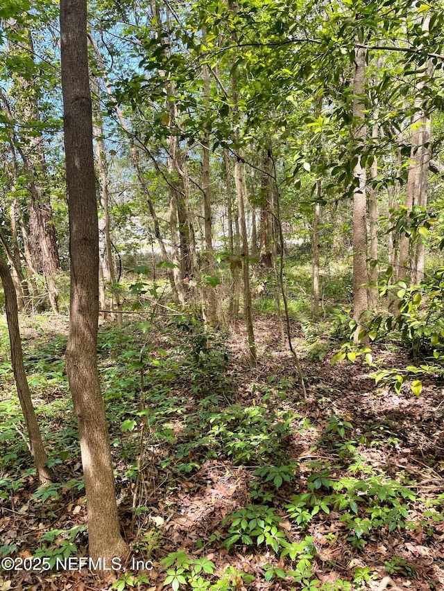 106 Bowfin Dr, Palatka, FL 32177 - photo 27