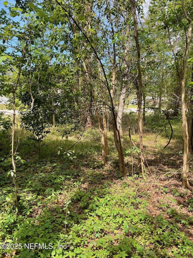 106 Bowfin Dr, Palatka, FL 32177 - photo 28