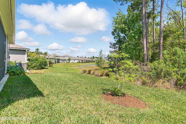 212 Fawnwood St, Saint Johns, FL 32259 - view of yard