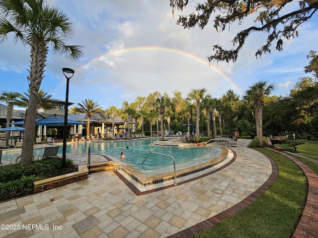 212 Fawnwood St, Saint Johns, FL 32259 - pool with a patio