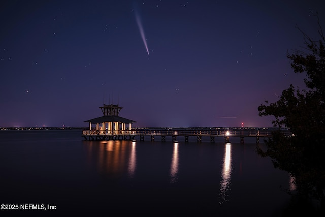212 Fawnwood St, Saint Johns, FL 32259 - view of water feature