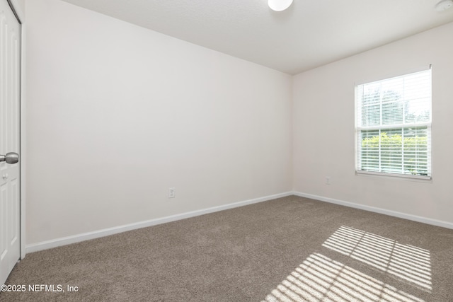 1628 Porter Lakes Dr, Jacksonville, FL 32218 - photo 15