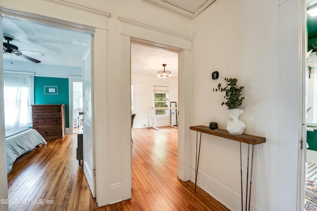 2855 Post St, Jacksonville, FL 32205 - corridor featuring hardwood / wood-style floors