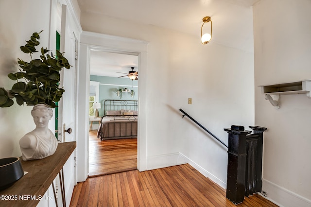 2855 Post St, Jacksonville, FL 32205 - stairway featuring baseboards, ceiling fan, and hardwood / wood-style flooring
