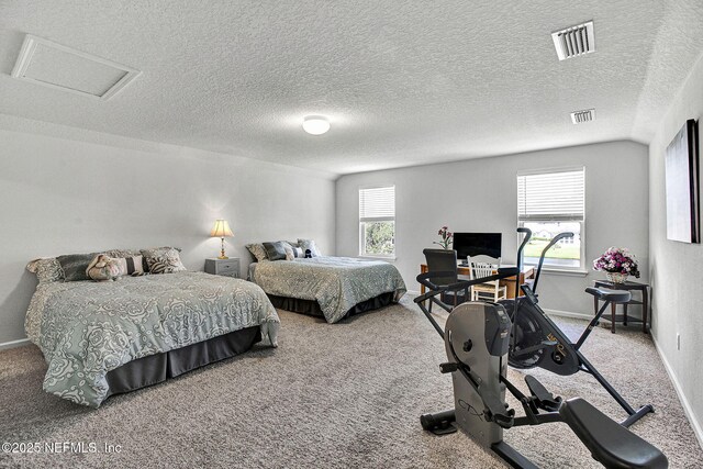 12424 Shady Bridge Trl, Jacksonville, FL 32258 - bedroom with carpet, visible vents, baseboards, and a textured ceiling