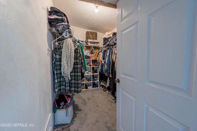 walk in closet featuring carpet floors