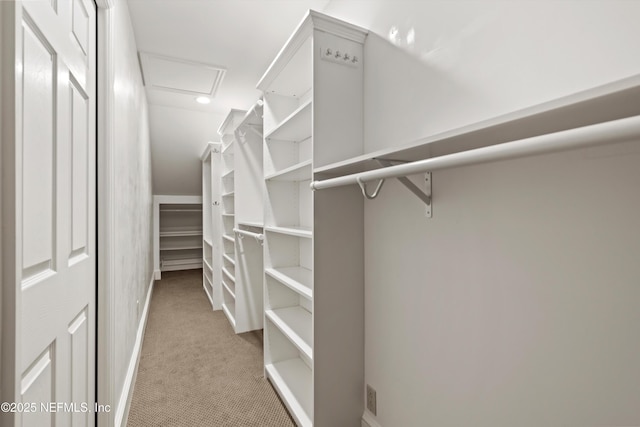 819 Lasalle St Unit 819, Jacksonville, FL 32207 - spacious closet with light carpet and attic access
