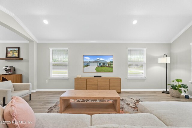 14 Balmoral Castle Dr, Saint Johns, FL 32259 - living area featuring light wood-type flooring, crown molding, baseboards, and plenty of natural light