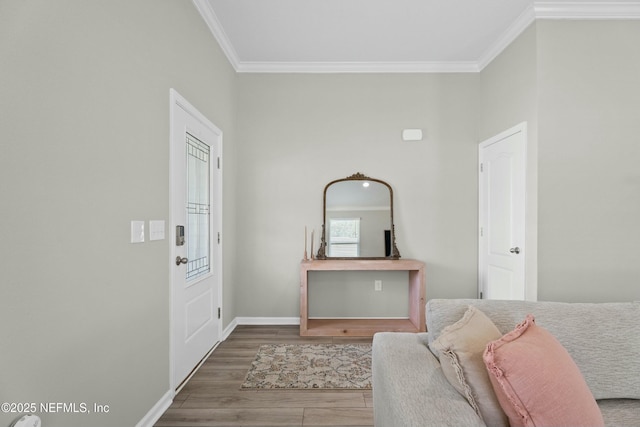 14 Balmoral Castle Dr, Saint Johns, FL 32259 - foyer entrance featuring wood finished floors, baseboards, and ornamental molding