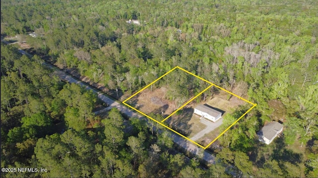 10710 Weatherby Ave, Hastings, FL 32145 - photo 2