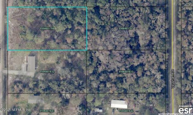 10710 Weatherby Ave, Hastings, FL 32145 - photo 3