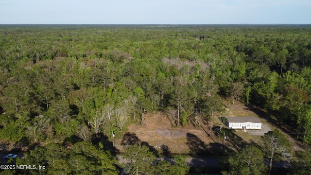 10710 Weatherby Ave, Hastings, FL 32145 - photo 4