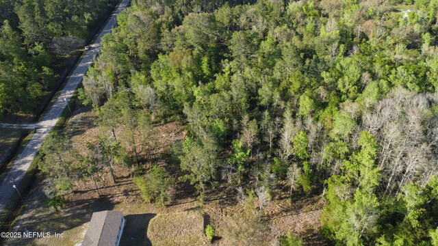 10710 Weatherby Ave, Hastings, FL 32145 - photo 5