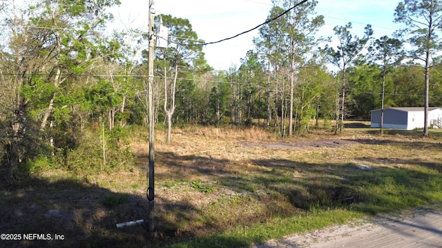 10710 Weatherby Ave, Hastings, FL 32145 - photo 8