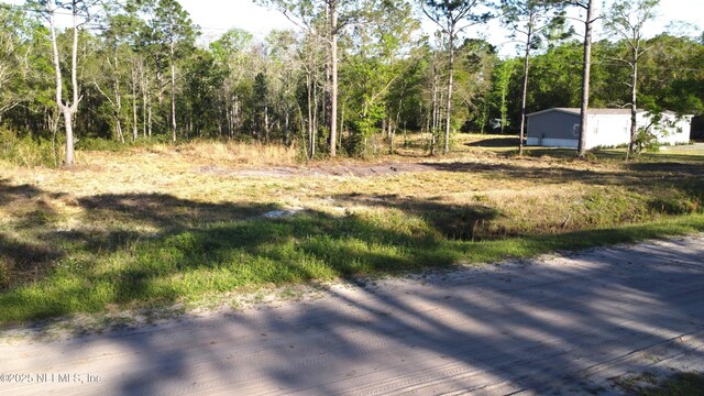 10710 Weatherby Ave, Hastings, FL 32145 - photo 9