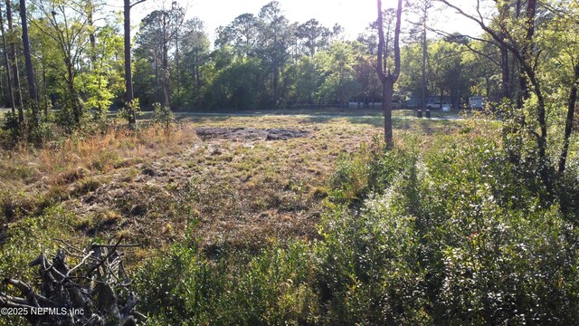 10710 Weatherby Ave, Hastings, FL 32145 - photo 1