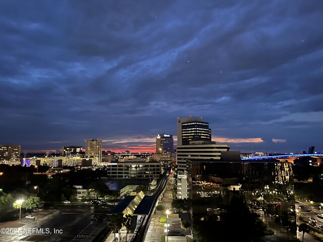 1478 Riverplace Blvd Unit 1103, Jacksonville, FL 32207 - property's view of city