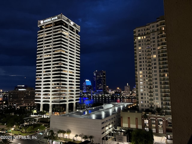 1478 Riverplace Blvd Unit 1103, Jacksonville, FL 32207 - property's view of city
