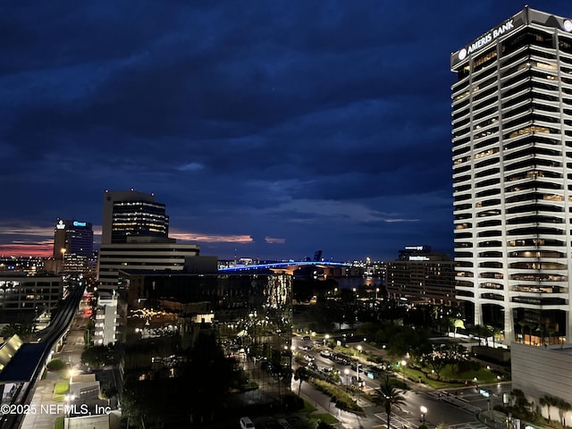 1478 Riverplace Blvd Unit 1103, Jacksonville, FL 32207 - city view