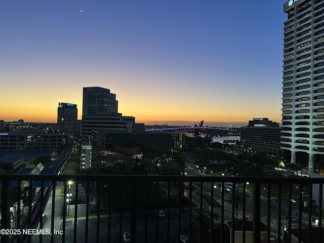 1478 Riverplace Blvd Unit 1103, Jacksonville, FL 32207 - property's view of city