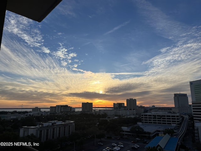 1478 Riverplace Blvd Unit 1103, Jacksonville, FL 32207 - city view