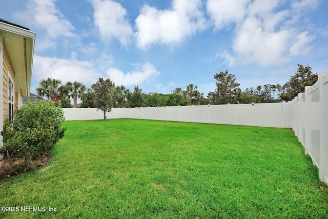 119 Cypress Banks Dr, Saint Johns, FL 32259 - view of yard