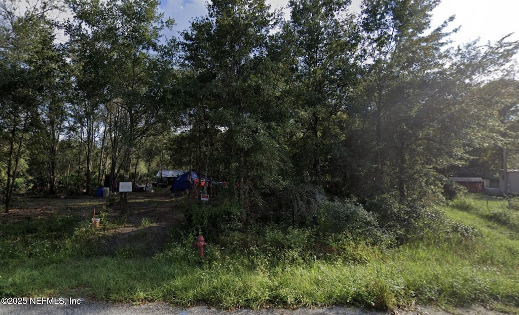 121 Bream, Palatka, FL 32177 - photo 1