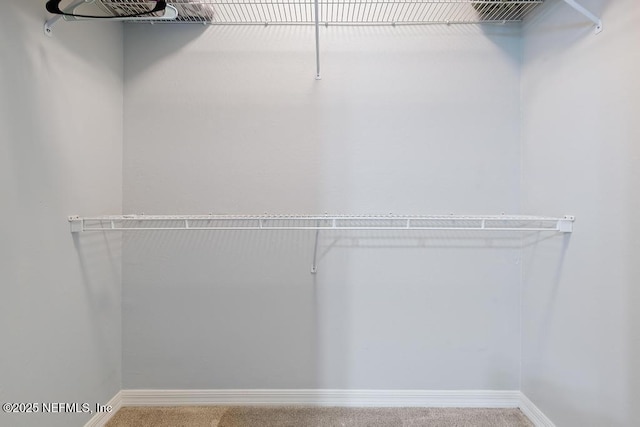 7800 Point Meadows Dr Unit 123, Jacksonville, FL 32256 - walk in closet featuring carpet floors