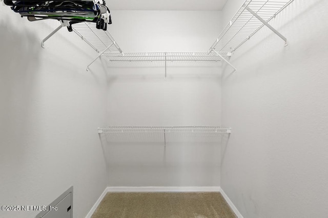 7800 Point Meadows Dr Unit 123, Jacksonville, FL 32256 - spacious closet featuring carpet