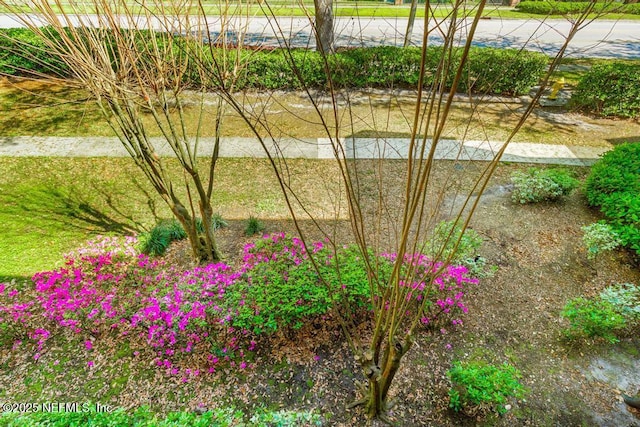 7800 Point Meadows Dr Unit 123, Jacksonville, FL 32256 - view of yard